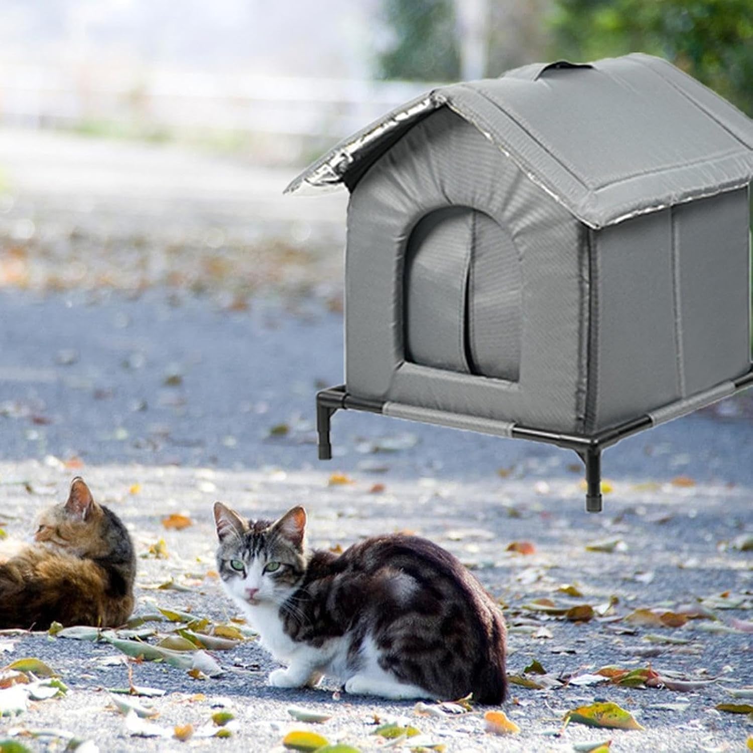 Coperte e Arredi, Animali Domestici, Grotte e Casette, Gatti, Letti per gatti, Gatti - Letti, materassi