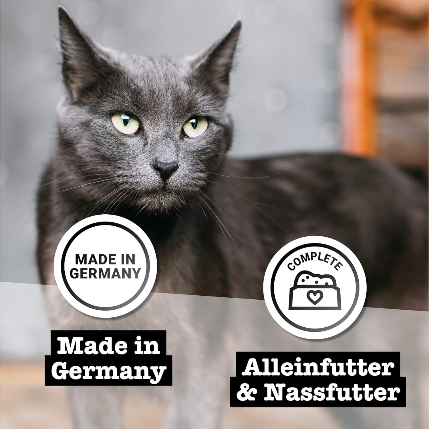 Alimento umido per gatti Catz Finefood Purrrr Sheep Monoprotein n. 113, per gatti con digestione sensibile, contenuto carne 70%, 16 buste da 85 g ciascuna