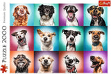 Trefl TR27119 Funny Dog Portraits II 2000 pezzi, qualità premium, per adulti e bambini dai 12 anni Puzzle, Puzzle colorato Naty Shop