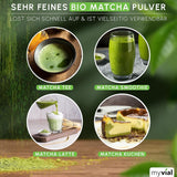 Tè Matcha biologico in polvere premium 100g Tè verde di altissima qualità dal Giappone Kagoshima - Perfetto per frullati Matcha Latte Tè verde giapponese Vegano senza additivi Confezione senza plastica