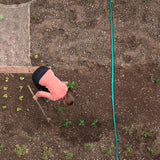 Relaxdays Tubo per irrigazione lunghezza 5 m, irrigazione uniforme degli strati del giardino, piatto, pronto per il collegamento, tubo per irrigazione, verde