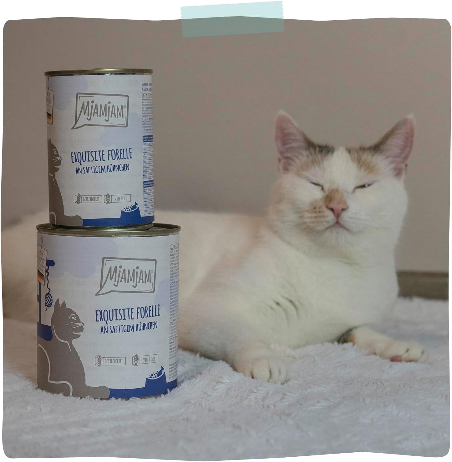 MjAMjAM - Cibo umido per gatti premium - Trota raffinata con pollo succoso, confezione da 6 (6 x 400 g), senza cereali
