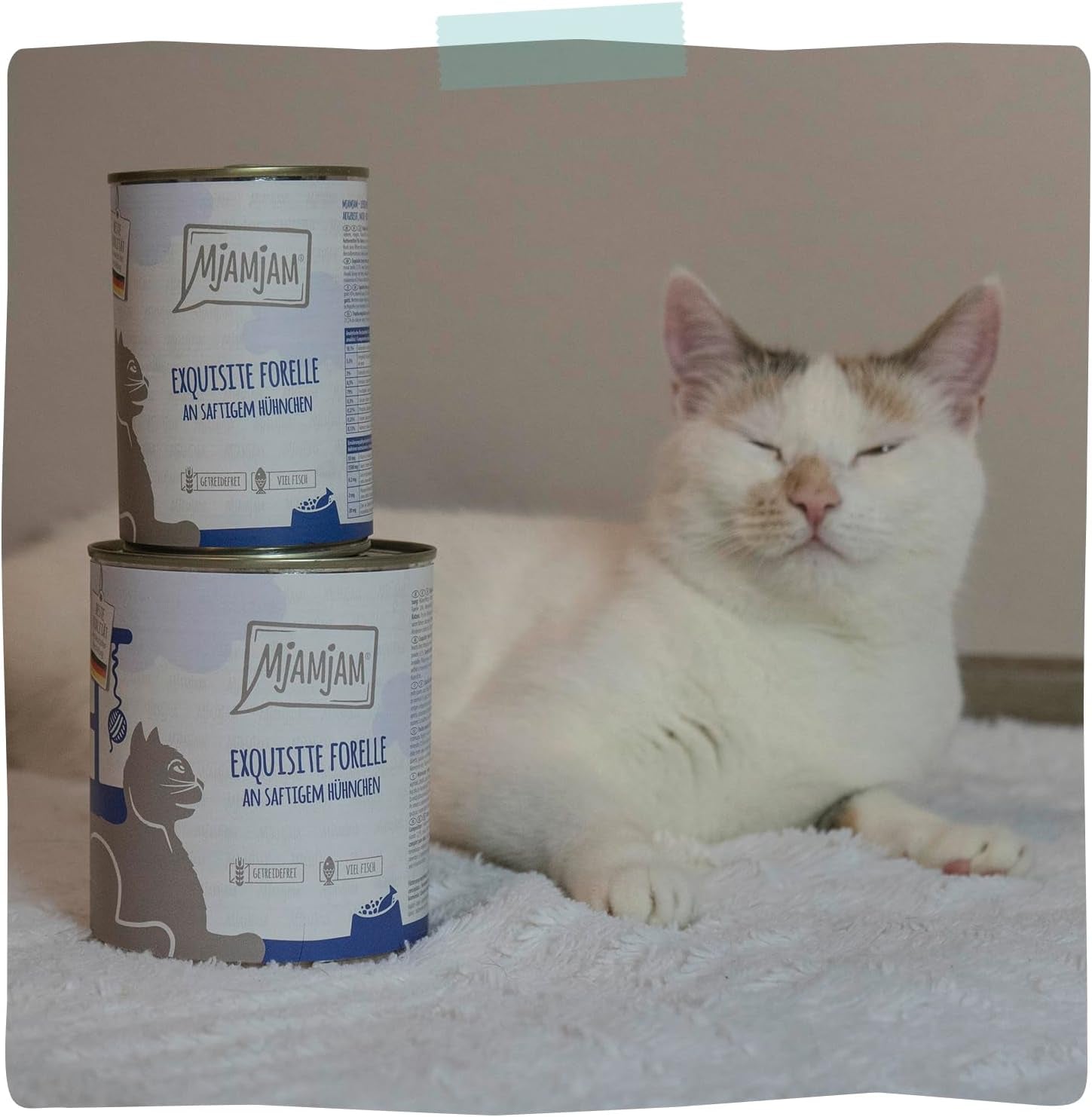MjAMjAM - Cibo umido per gatti premium - Trota raffinata con pollo succoso, confezione da 6 (6 x 400 g), senza cereali