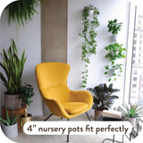 Vasi da parete autoirriganti Virgo (set da 6) - Facili da annaffiare e installare - Leggeri - Crea il tuo giardino verticale - Vasi da parete per piante da interno