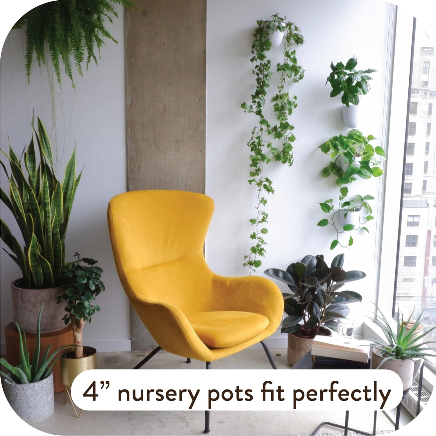 Vasi da parete autoirriganti Virgo (set da 6) - Facili da annaffiare e installare - Leggeri - Crea il tuo giardino verticale - Vasi da parete per piante da interno