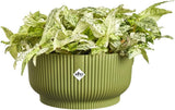 elho Vibes Fold Bowl 25 - Vasi da fiori per interni - 100% plastica riciclata - Ø 24,9 x H 12,1 cm - Verde/Ferngrün