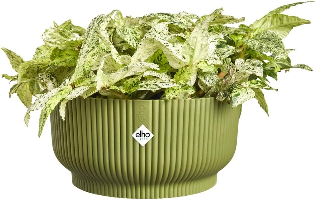 elho Vibes Fold Bowl 25 - Vasi da fiori per interni - 100% plastica riciclata - Ø 24,9 x H 12,1 cm - Verde/Ferngrün