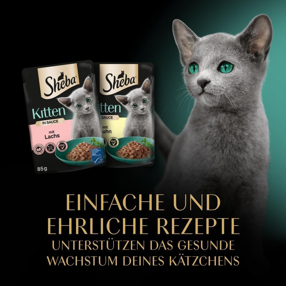 Sheba alimento umido per gattini, in bustine assortite, con salmone (MSC) e pollo in salsa, multipack 40x85g