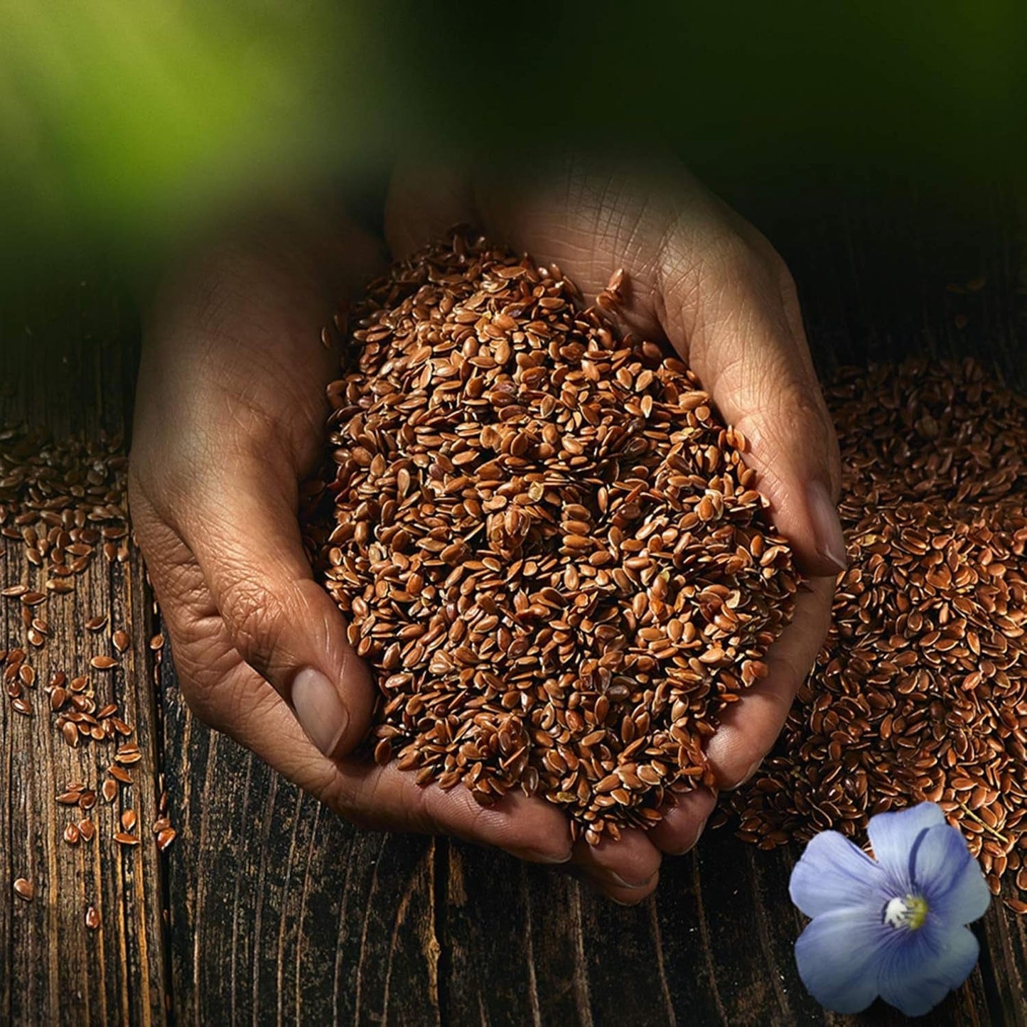 Semi di lino interi Biocentral | 7 semi di lino biologici da 400 g | Ideale per yogurt, muesli e pane | Alternativa allo psillio, ai semi di canapa e ai semi di chia