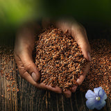 Semi di lino interi Biocentral | 7 semi di lino biologici da 400 g | Ideale per yogurt, muesli e pane | Alternativa allo psillio, ai semi di canapa e ai semi di chia