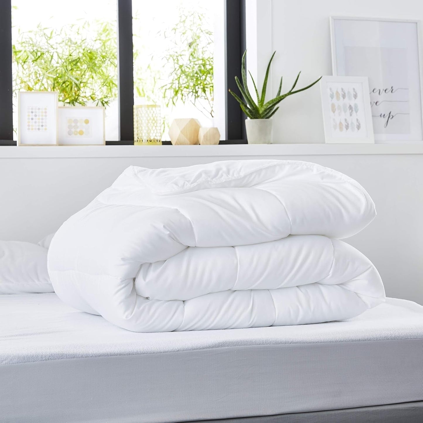 DOLCE NOTTE - Trapunta estiva 220G/M² | 140X200 cm | Sottile e leggero | Morbido e confortevole | Lavabile | Piumino 100% microfibra Piumini e trapunte Naty Shop