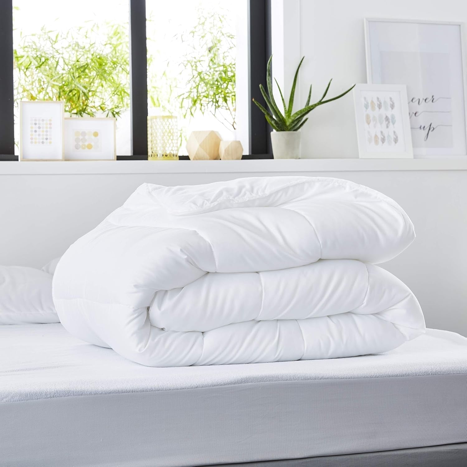DOLCE NOTTE - Trapunta estiva 220G/M² | 140X200 cm | Sottile e leggero | Morbido e confortevole | Lavabile | Piumino 100% microfibra Piumini e trapunte Naty Shop