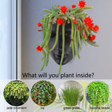 Notakia Fioriera sfaccettata da parete per interni ed esterni con drenaggio per piante grasse, cactus e piccole piante, decorazione domestica unica, regalo per amici e familiari