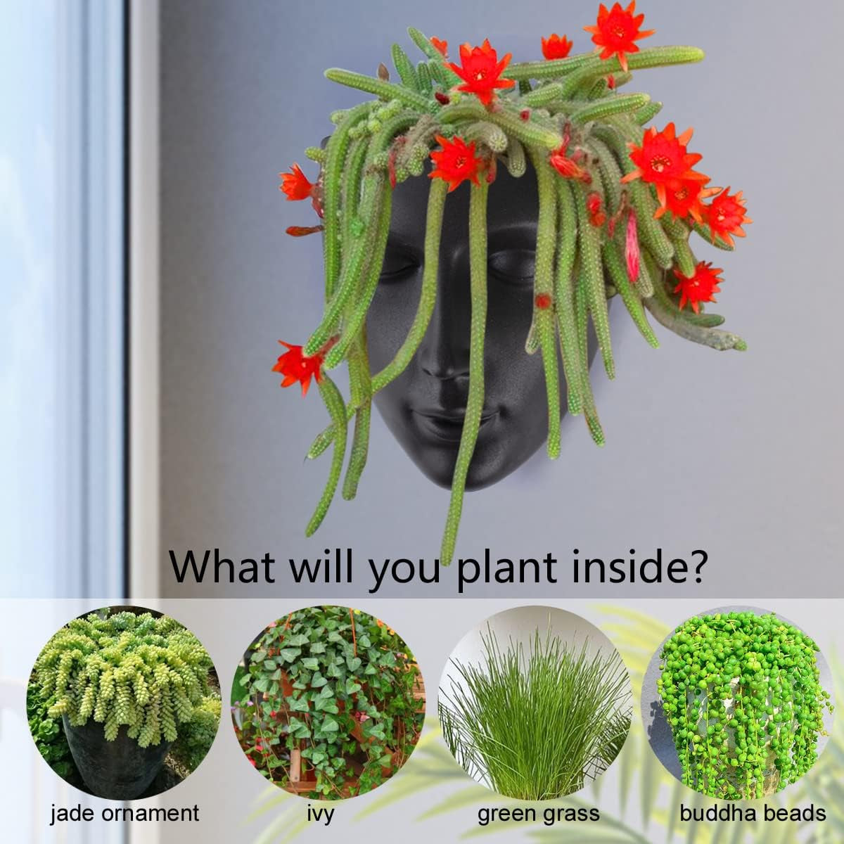 Notakia Fioriera sfaccettata da parete per interni ed esterni con drenaggio per piante grasse, cactus e piccole piante, decorazione domestica unica, regalo per amici e familiari