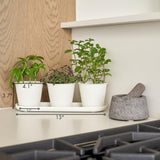 Set di 3 bellissimi vasi da giardino per erbe aromatiche, perfetti per qualsiasi davanzale o bancone della cucina, un moderno set di fioriere decorative da giardino che include vassoio e...