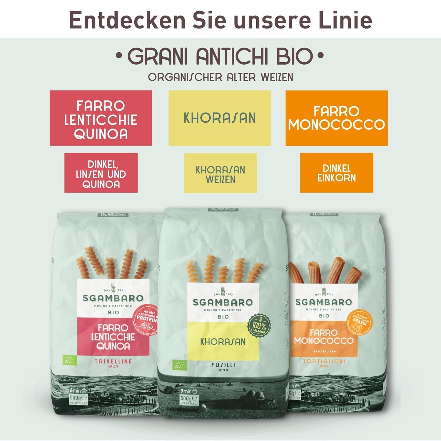Penne Rigate Biologiche N.91 - 500g Pasta di grano magro - Fonte di fibre e proteine