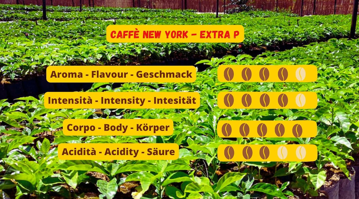 Caffè New York - EXTRA P - Caffè in grani, gusto forte e deciso, Arabica e Robusta, da macinare, espresso italiano, miscela bar - qualità premium dal 1930 - 1 kg, in grani
