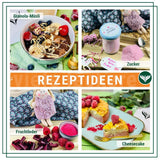 Lampone Azafran - pezzi di lampone liofilizzato 250g Prodotti disidratati Naty Shop