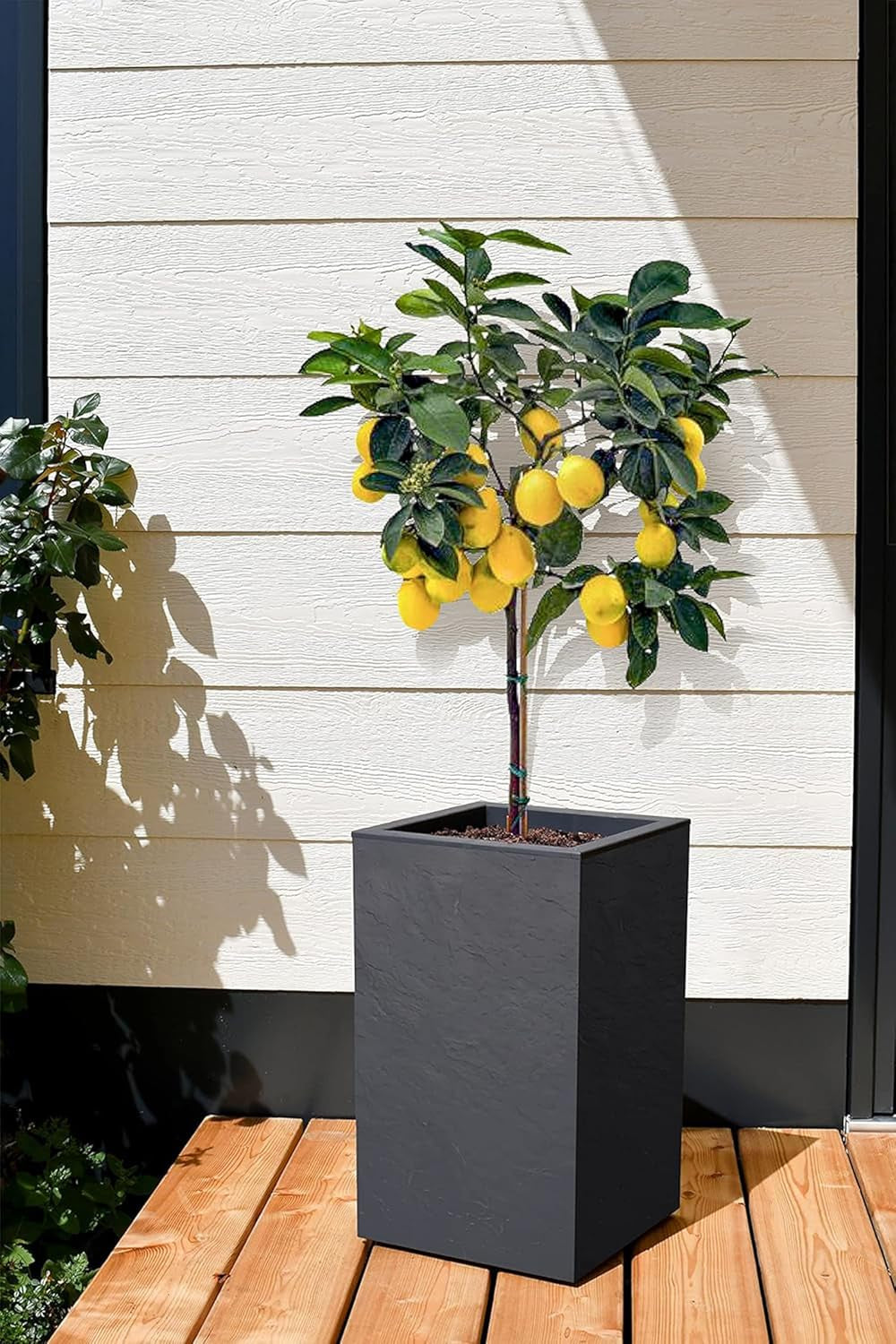 Fioriera Volcania Up, quadrata, alta, 36 l, aspetto pietra, parete singola, serbatoio dell'acqua, 29,5 x 29,5 x 49,5 cm, grigio antracite