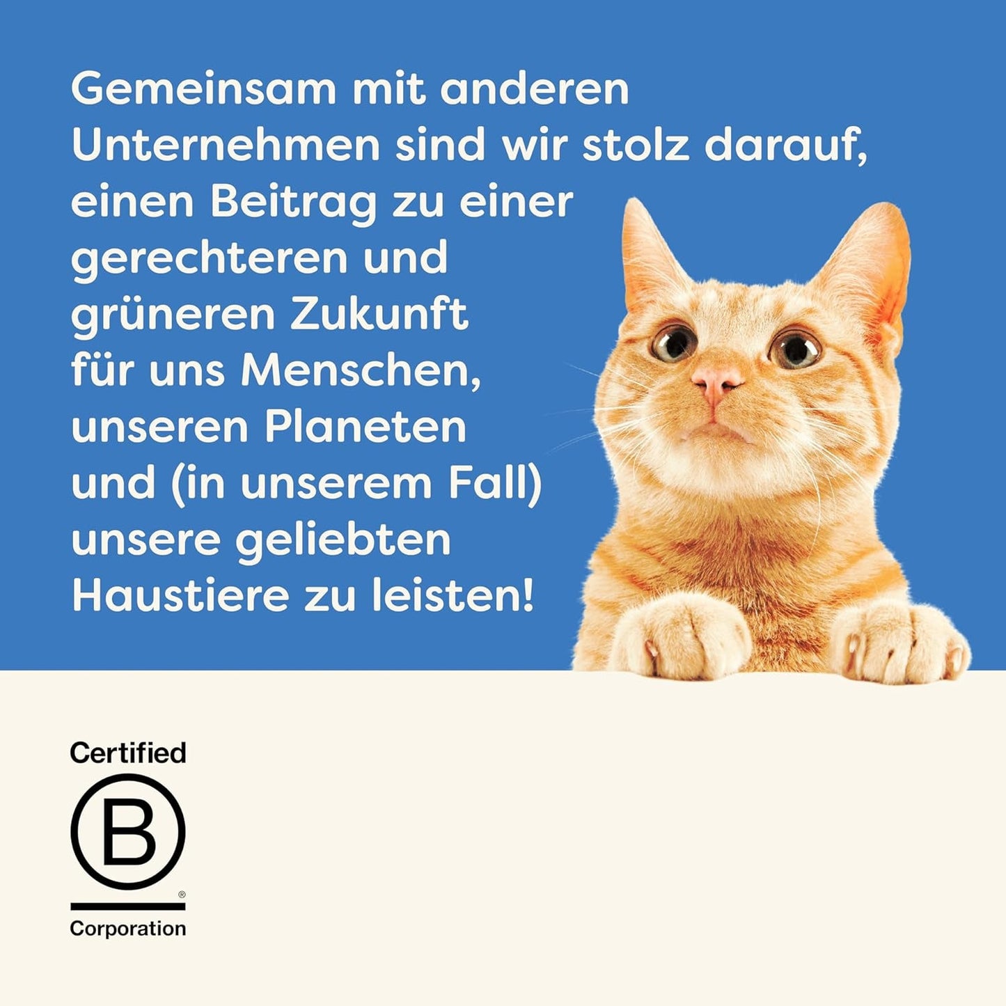 Applaws 100% naturale Premium-Nassfutter für Katzen, Thunfischfilet mit Algen in Brühe - Confezione con 24 x 156g Dosen