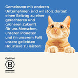 Applaws 100% naturale Premium-Nassfutter für Katzen, Thunfischfilet mit Algen in Brühe - Confezione con 24 x 156g Dosen