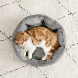 Letti e Divani, Coperte e Arredi, Animali Domestici, Gatti, Letti per gatti, Gatti - Letti, materassi