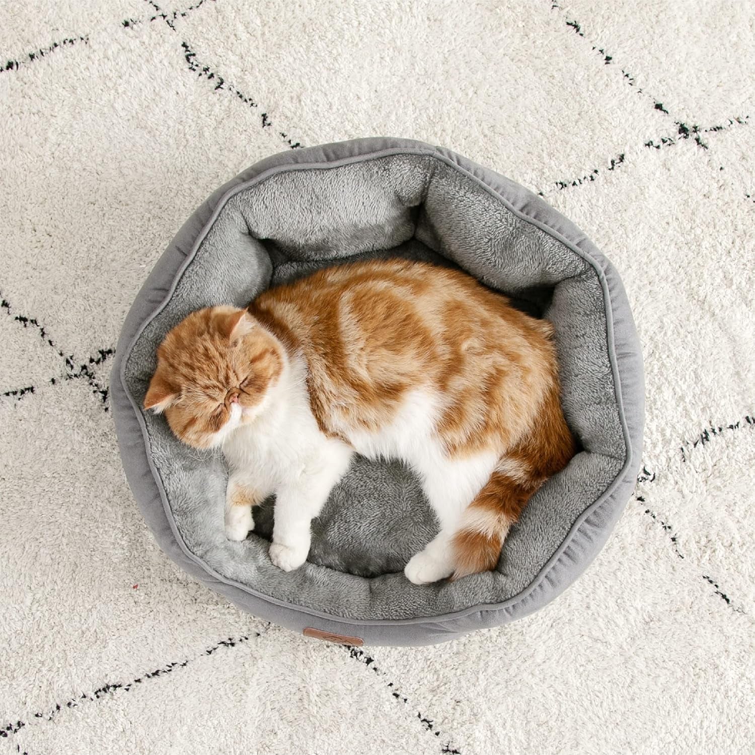 Letti e Divani, Coperte e Arredi, Animali Domestici, Gatti, Letti per gatti, Gatti - Letti, materassi
