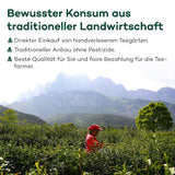 Tè Tie Guan Yin Oolong da Anxi, Cina | Vendemmia 2025 | Tè Oolong cinese di alta qualità | Tè cinese premium da piantagioni tradizionali 100 g