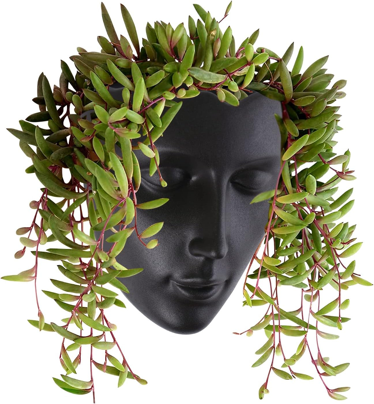 Notakia Fioriera sfaccettata da parete per interni ed esterni con drenaggio per piante grasse, cactus e piccole piante, decorazione domestica unica, regalo per amici e familiari