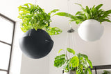 LECHUZA BOLA Colore 32 bianco 16850