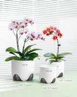 Vaso da fiori per orchidee con fori di drenaggio per trapianto, eccellente circolazione dell'aria, 2 pezzi, plastica a doppio strato, fioriera per orchidee in ceramica, vaso da fiori per orchidee trasparente, decorativo