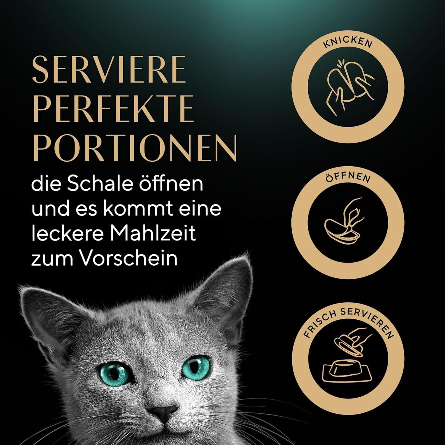 SHEBA Perfect PORTIONS salsa per gatti con tacchino 8 x 3 x (2 x 375g)