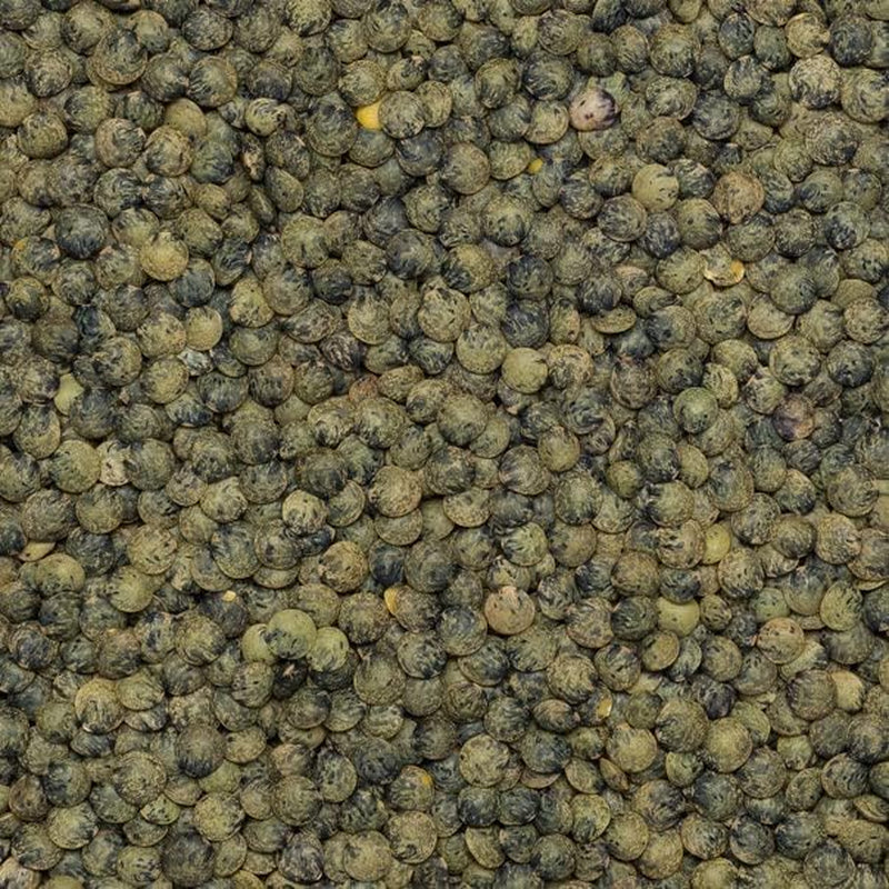 Wholefood Earth Lenticchie Verde Scuro Biologiche Alla Francese 1kg Non OGM | Vegano | Ricco di fibre | Ricco di proteine ​​| Certificato biologico