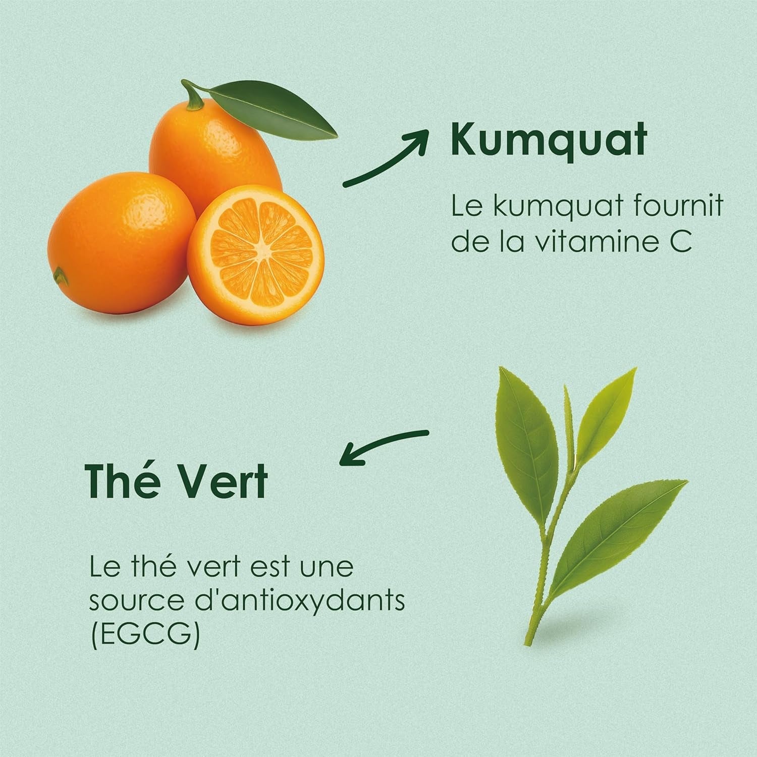 Yunnan Tuocha Zouji - Tè verde biologico con kumquat - Vitamina C - 100 bustine di tè - 200 g - Qualità Yunnan garantita