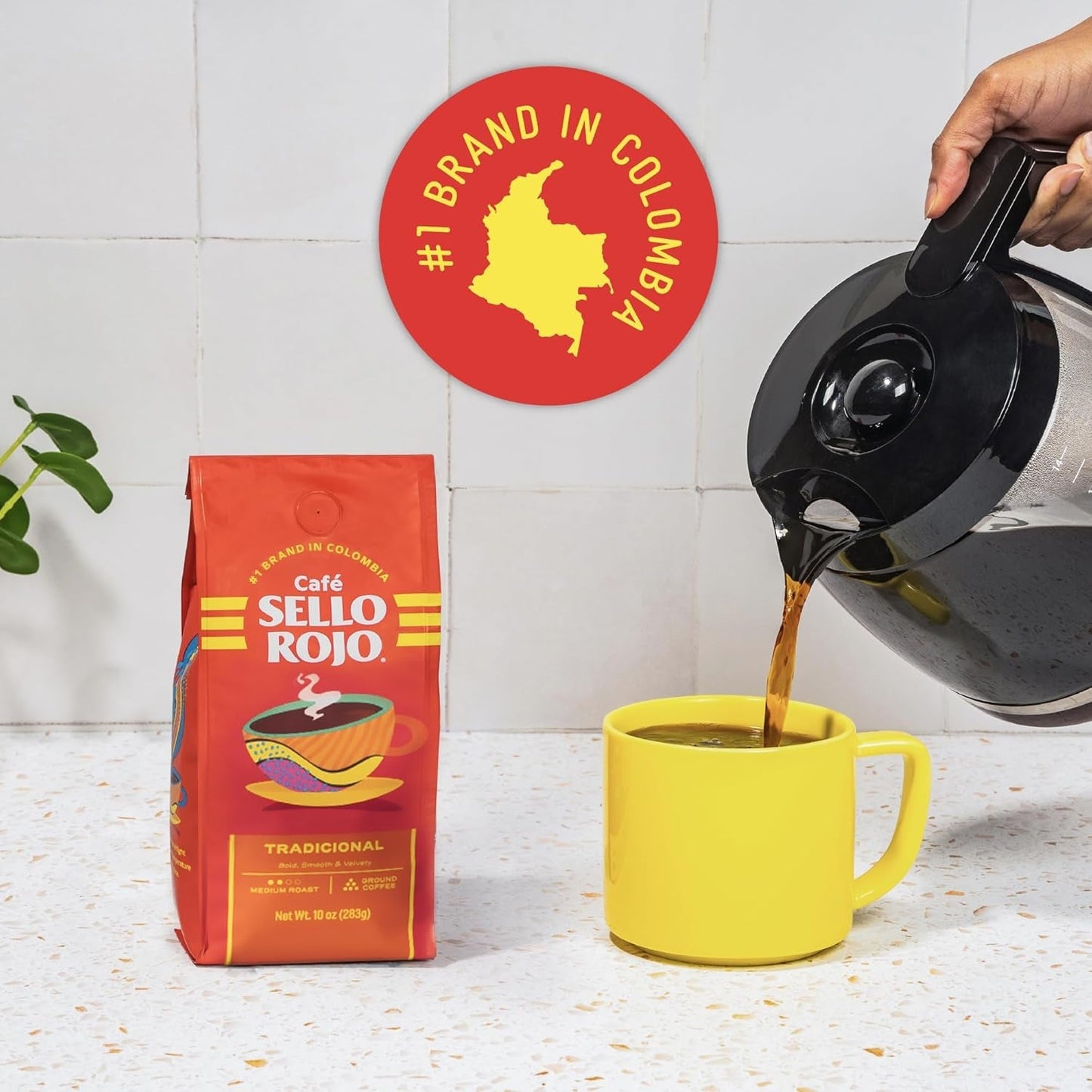 Caffè tostato e macinato, brick da 17,6 once