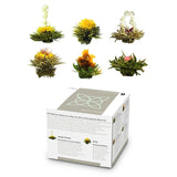 Feelino Elegante scatola mista da 6 pezzi - Feelino fiori di tè bianchi in una splendida confezione da degustazione e regalo con 6 diverse rose di tè bianche, confezionate singolarmente sottovuoto, confezione da 1 pezzo
