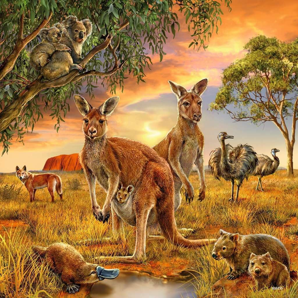 Ravensburger Puzzle per bambini - 09330 Animali della Terra - Puzzle per bambini dai 5 anni, con 3X49 pezzi Puzzle Naty Shop