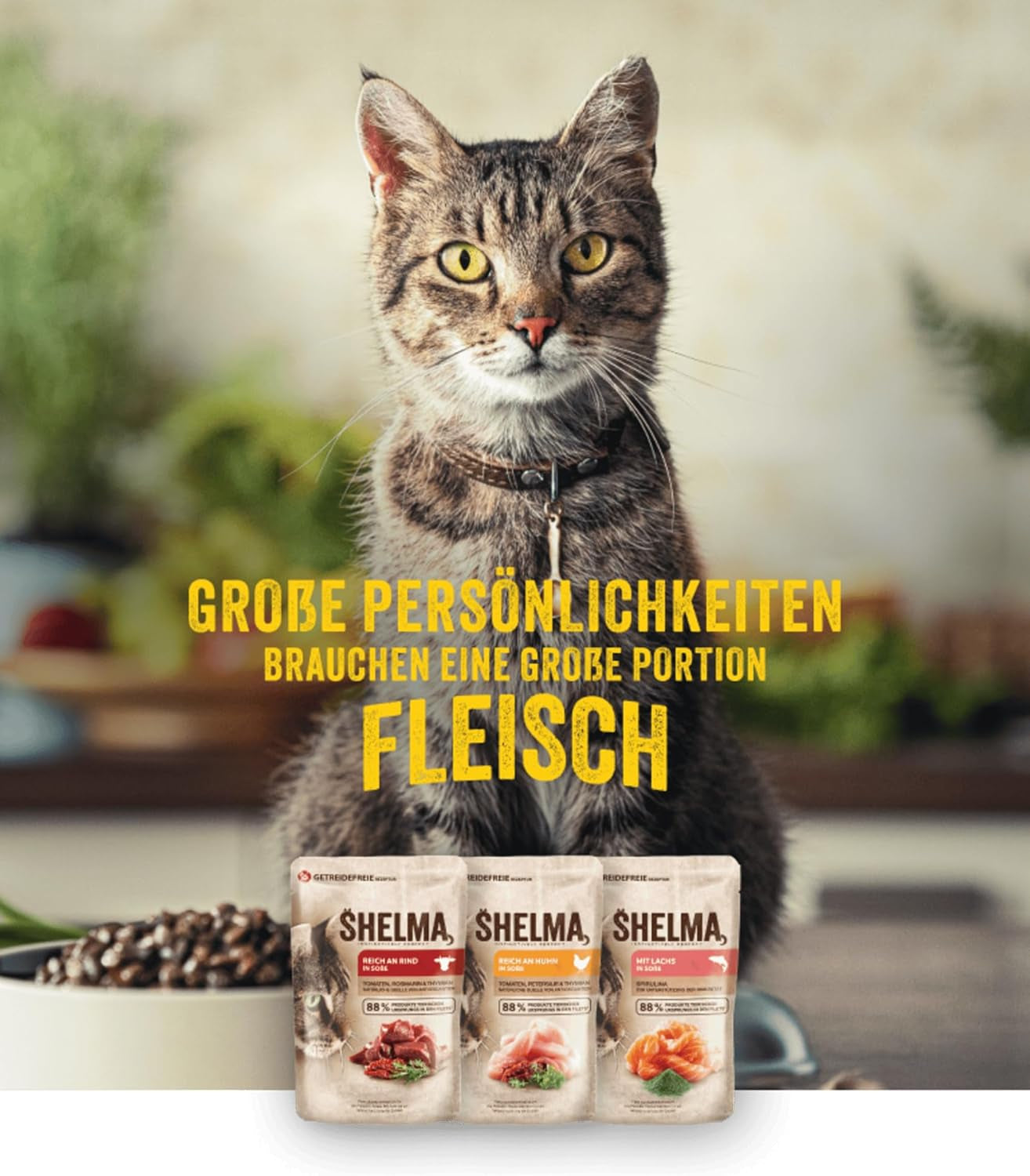 Shelma Cibo umido per gatti con tacchino in salsa di pomodoro ed erbe aromatiche - Alimento completo senza cereali con alto contenuto di carne - 28 x 85 g (2,38 kg)