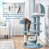 Coperte e Mobili, Animali Domestici, Gatti, Letti per gatti, Tiragraffi, Gatti - Letti, Materassi