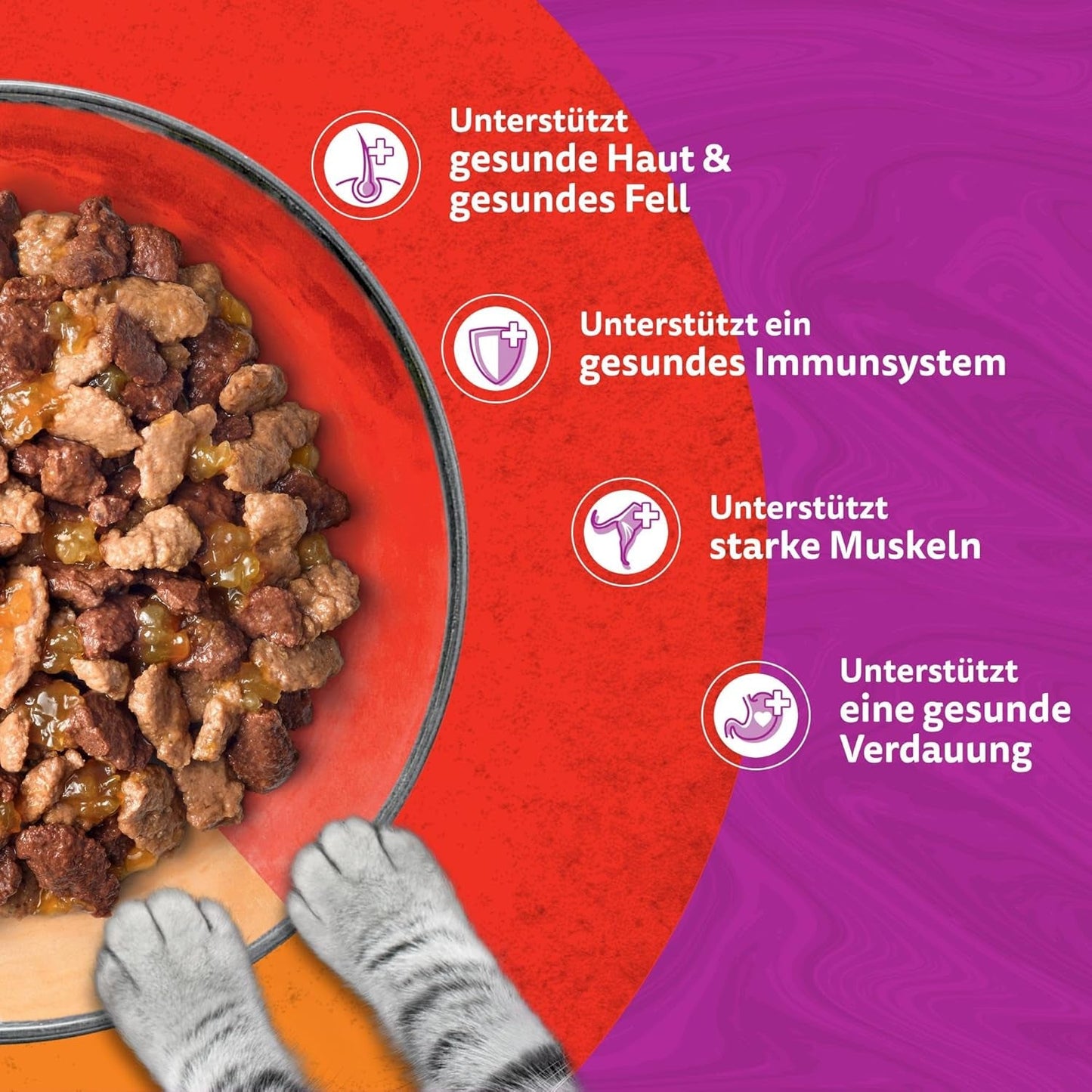 WHISKAS Duo Bustine per Alimenti Umidi, Confezione Multipla, Combinazione Classica in Gelatina, 12 x 85g