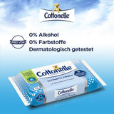 Salviette umidificate, Ultimate Fresh, 12 X 42 salviette, Tecnologia Deodycylx, Delicate sulla pelle, Senza alcool e coloranti, Sensibili, Biodegradabili