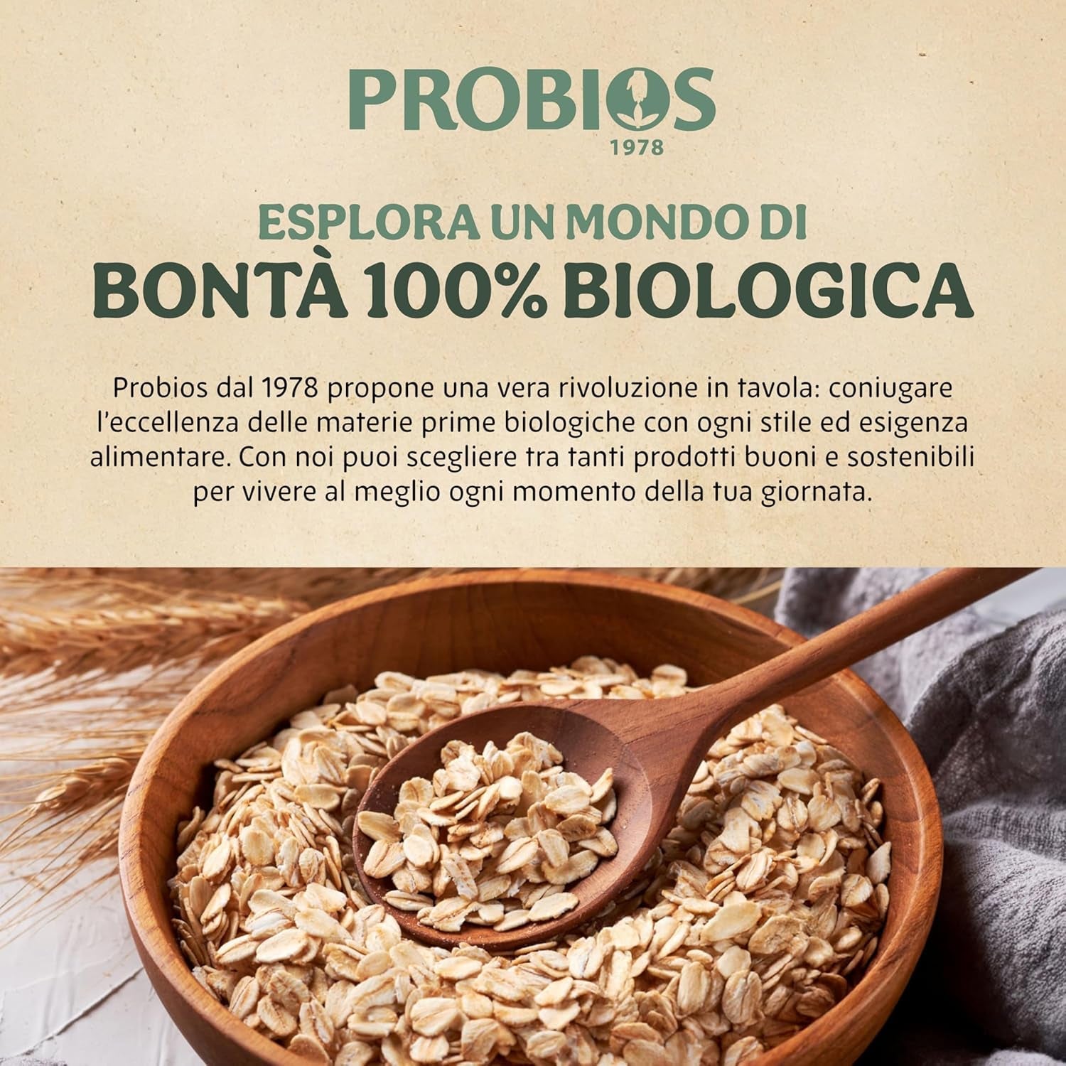 Cornflakes bio leggeri da 500g per confezione