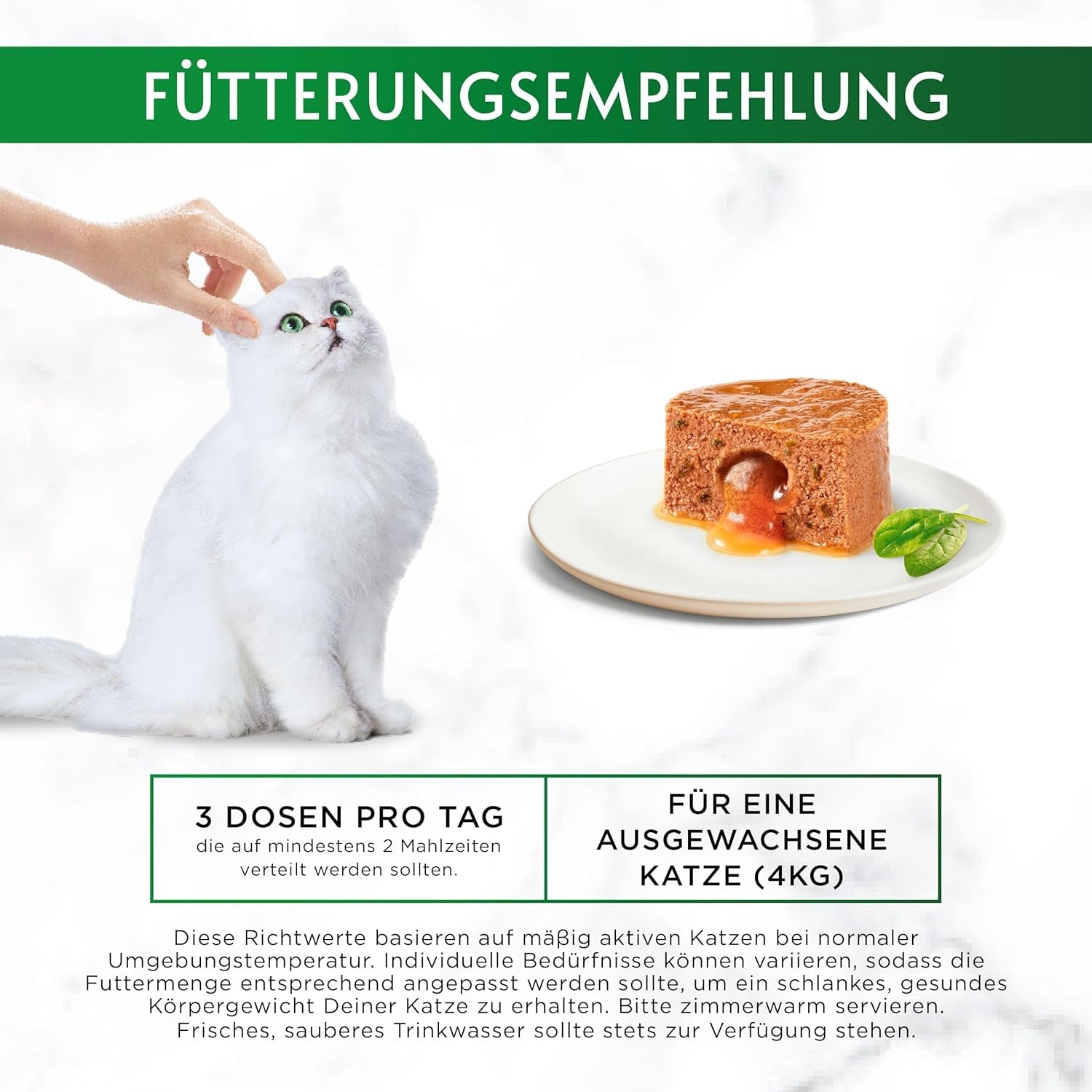 Gourmet Nature's Creations Heart Sauce Mousse Cibo umido per gatti, ricco di pollo, confezione da 12 (12 x 85 g)