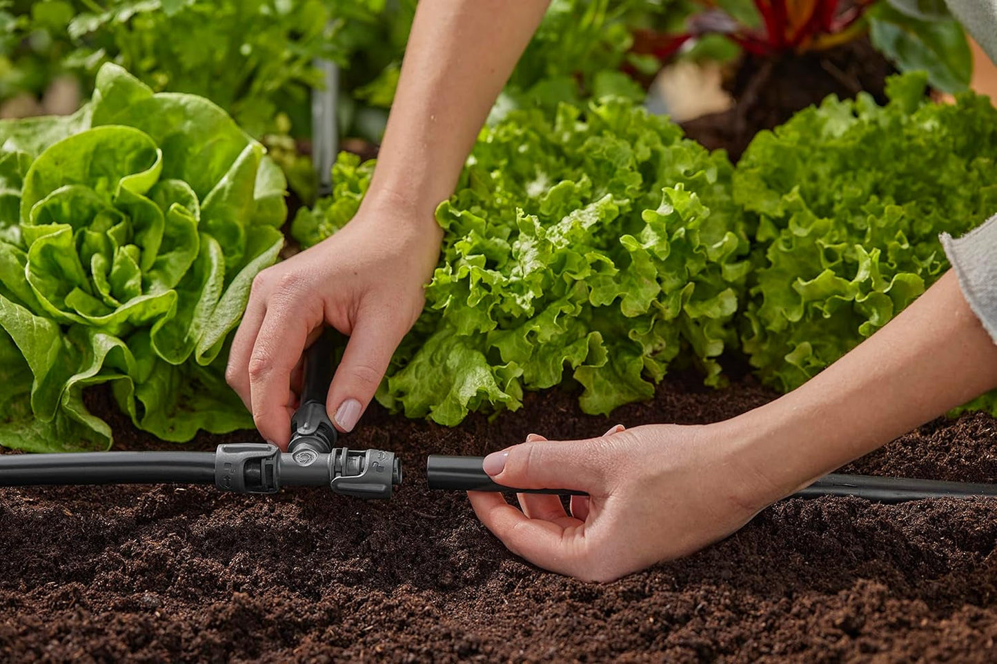 Gardena Sistema di irrigazione Micro-Drip Raccordo a T 13 mm (1/2"): Connettore per tubi di alimentazione da 13 mm, diramazione a T, irrigazione automatica, riutilizzabile (13201-20)