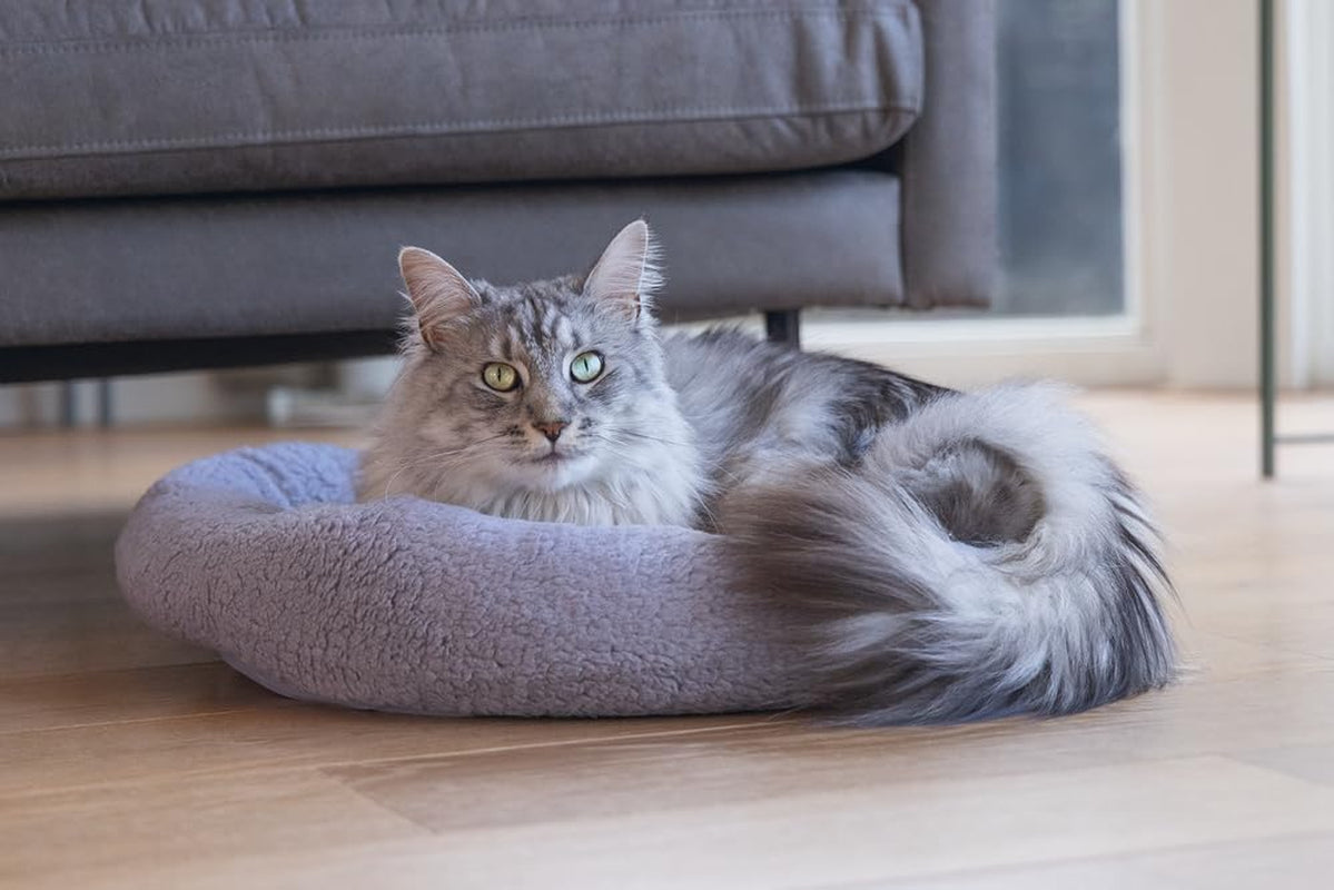 Letti, coperte e mobili, Animali domestici, Gatti, Cucce per gatti, Gatti - Letti, materassi