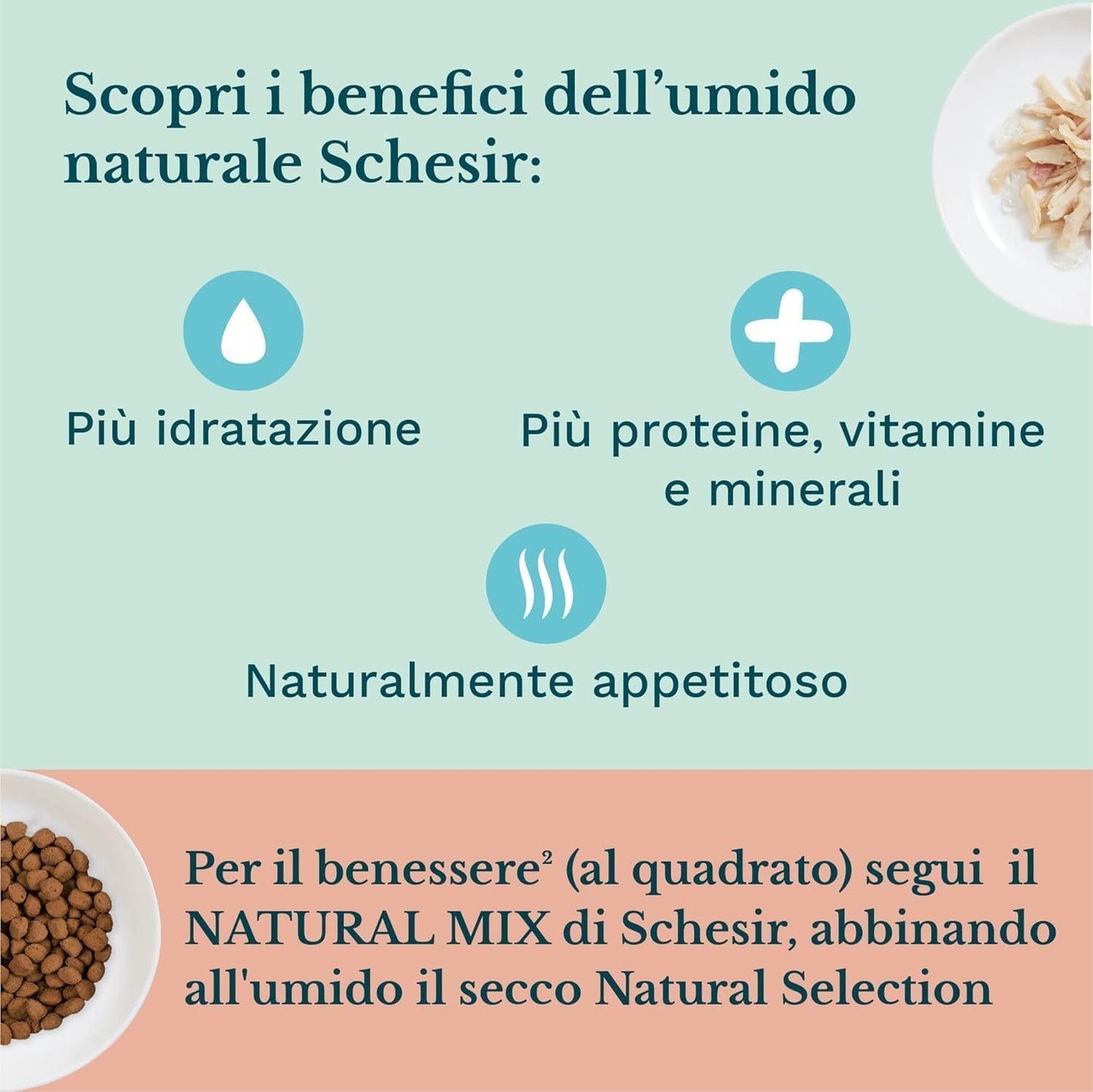 Alimento umido per gatti piccoli con crema di pollo e pollo - Alimento umido per gatti piccoli - Alimento umido per gatti con crema di pollo, senza cereali, ricco di proteine, vitamine e minerali (20 buste x 150 g)