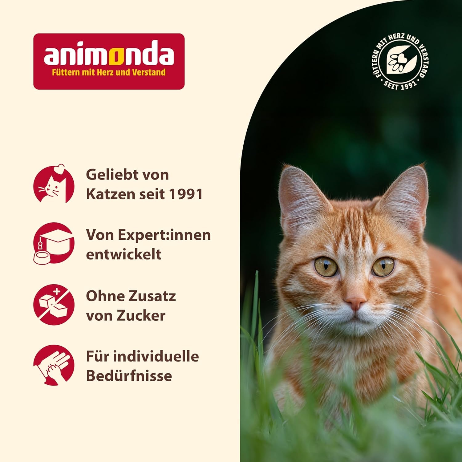 Animonda Carny Senior Cibo umido per gatti con manzo + pollo + formaggio (6 x 200 g), cibo umido senza cereali e senza zucchero per gatti dai 7 anni in su, con ingredienti freschi e carnosi