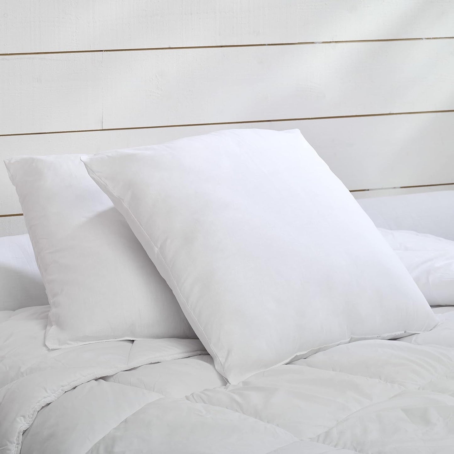 Set di 2 cuscini Câlin blu con comfort costante "Alaska", super imbottitura, busta in percalle di cotone 100%, bianco, forma quadrata 65 x 65 cm Naty Shop Cuscini standard forma quadrata 65 x 65 cm