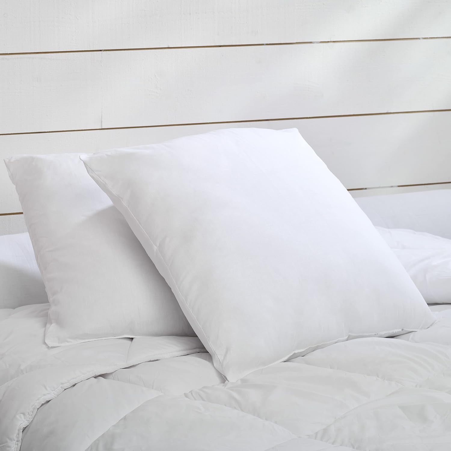 Set di 2 cuscini Câlin blu con comfort costante "Alaska", super imbottitura, busta in percalle di cotone 100%, bianco, forma quadrata 65 x 65 cm Naty Shop Cuscini standard forma quadrata 65 x 65 cm