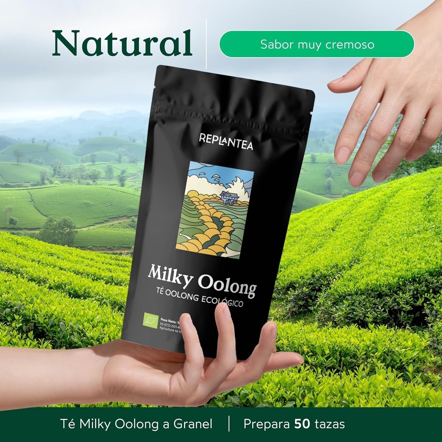 Tè Oolong al latte BIO (100 g) | Tè Oolong sfuso premium con note cremose e dolci di latte | Delicata specialità di tè | RIPIANTARE
